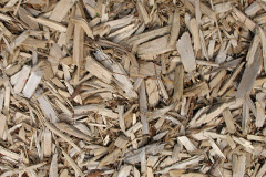 biomass boilers South Gyle